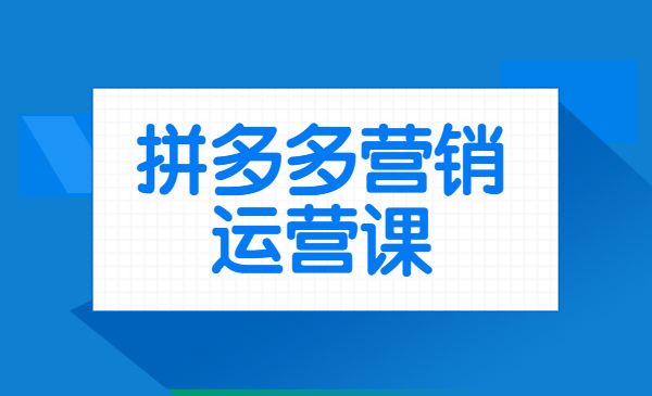拼多多营销运营课_wwz