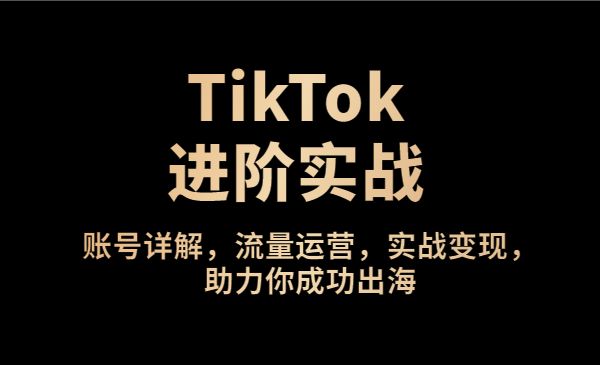 TikTok进阶实战课：账号详解，流量运营，实战变现，助力你成功出海_wwz