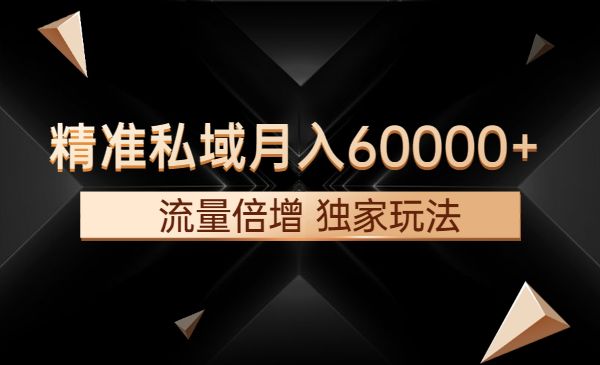 精准私域月入60000+ 流量倍增 独家玩法_wwz