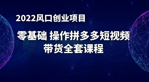 2022风口项目：零基础操作多多视频带货，小白也能日赚1000+全套操作方法（送工具）_wwz
