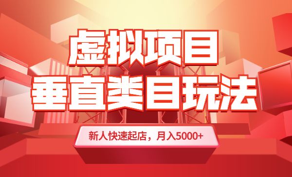 虚拟项目垂直类目玩法,新人快速起店,月入5000+_wwz