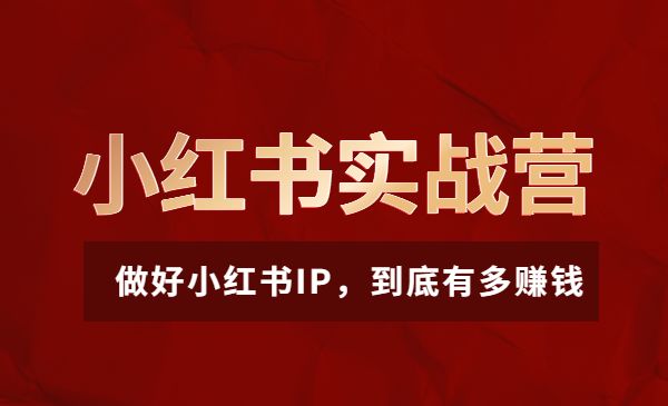 小红书实战营3.0-重磅来袭:做好小红书IP,到底有多赚钱_wwz
