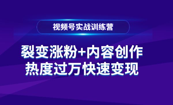 视频号实战训练营,裂变涨粉、内容创作、热度过万快速变现_wwz