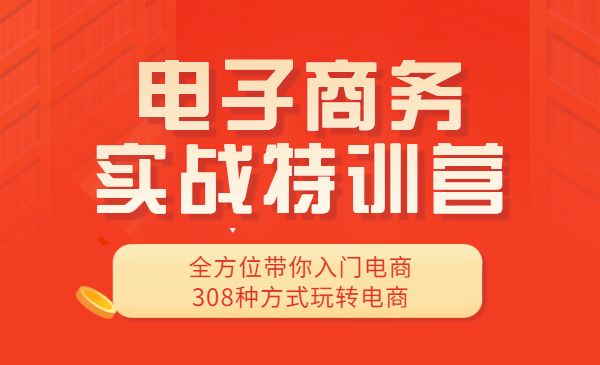 电子商务实战特训营,全方位带你入门电商,308种方式玩转电商_wwz