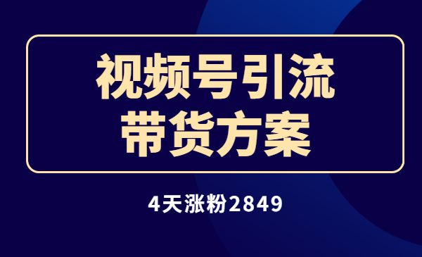 4天涨粉2849,我做视频号引流 带货方案_wwz