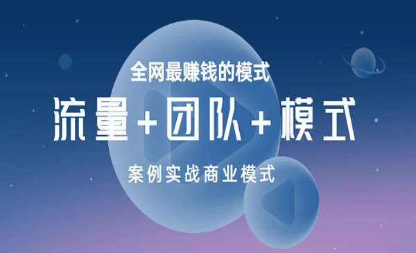 全网最赚钱的模式《流量+团队+模式》案例实战商业模式_wwz