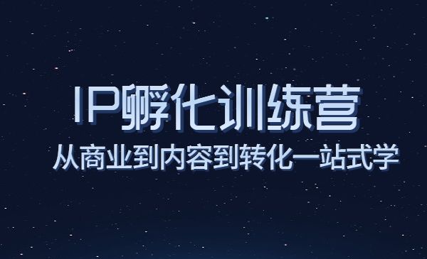 商业IP孵化训练营,从商业到内容到转化一站式学_wwz