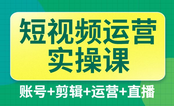 短视频运营实操课,一部手机,账号+剪辑+运营+直播,从小白到大咖_wwz